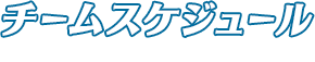 チームスケジュール　